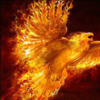 le phoenix