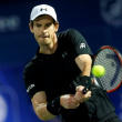 Andy Murray à Rolland Garros